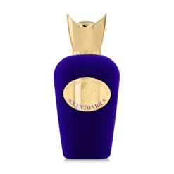 Accento Viola