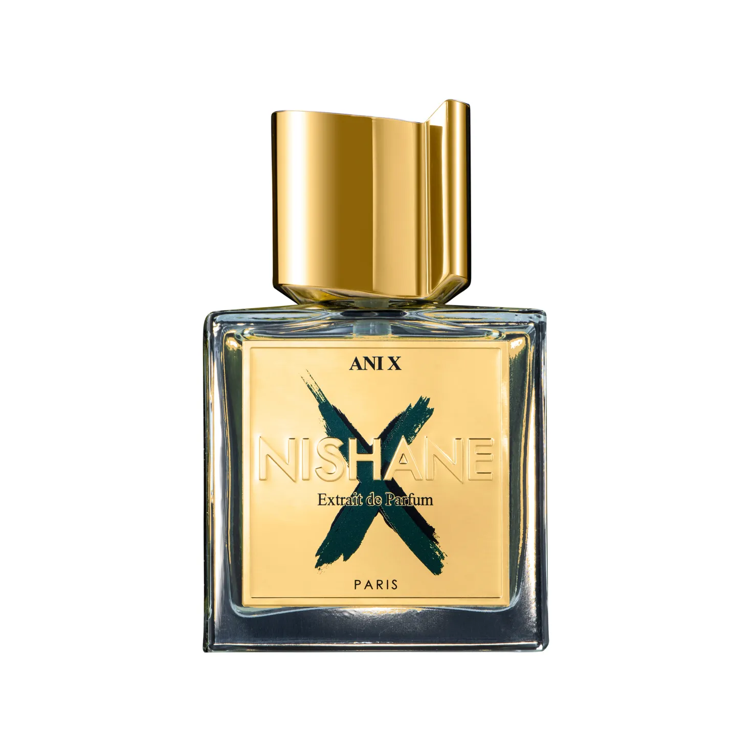 Ani X