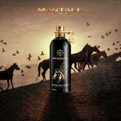 Arabians Tonka