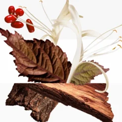 Barénia Eau de Parfum