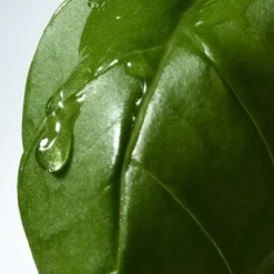 Basil & Hinoki Liquid Soap Refill