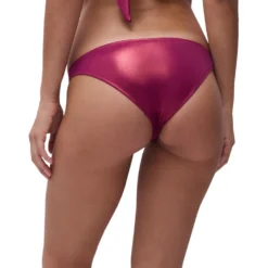 Bikinislip