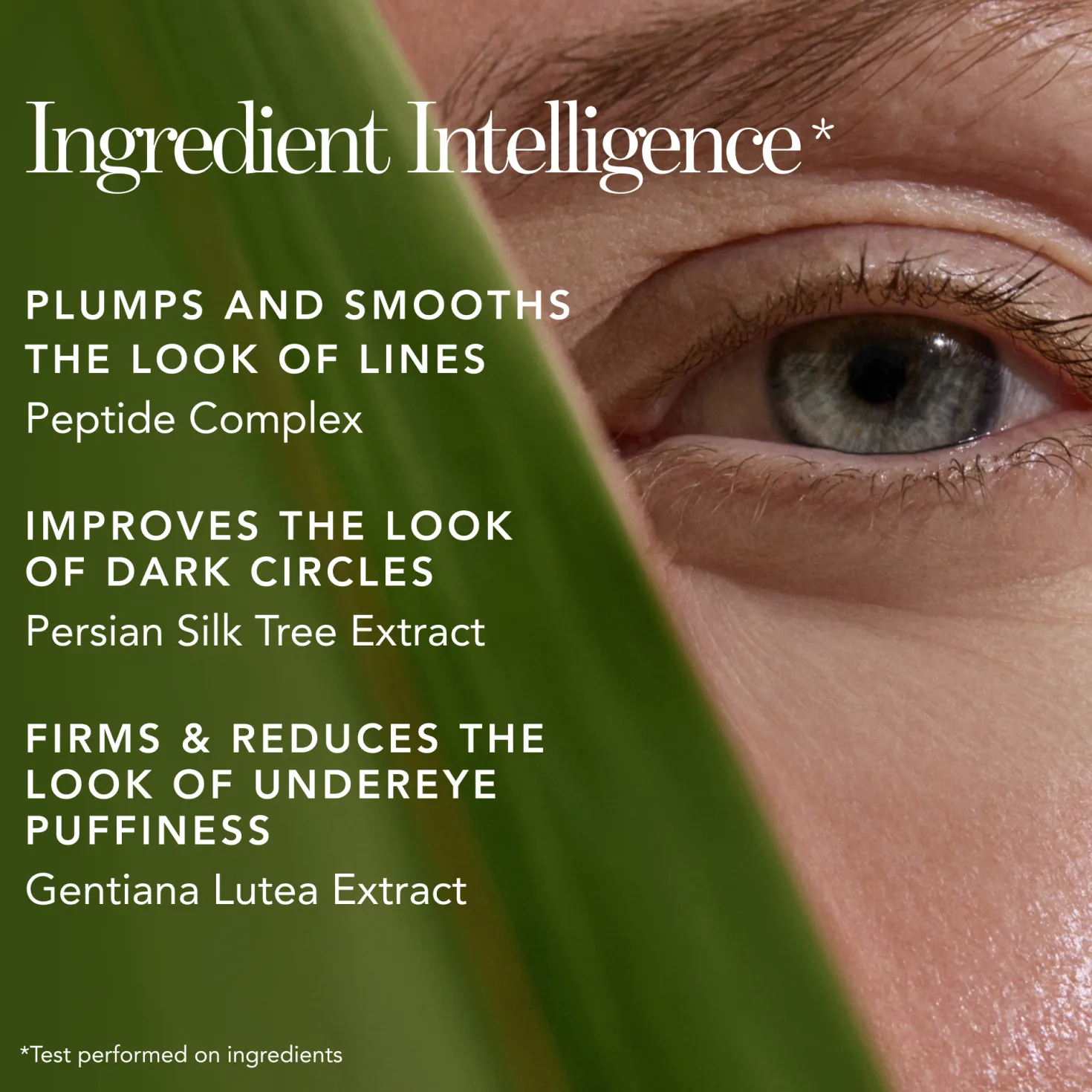 BIO LIFTING CONCEALER