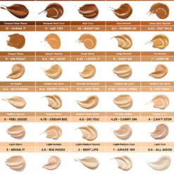 Boi-ing Cakeless Concealer