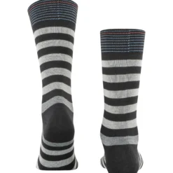 Burlington blackpool herren