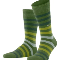 Burlington blackpool herren