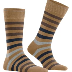 Burlington blackpool herren