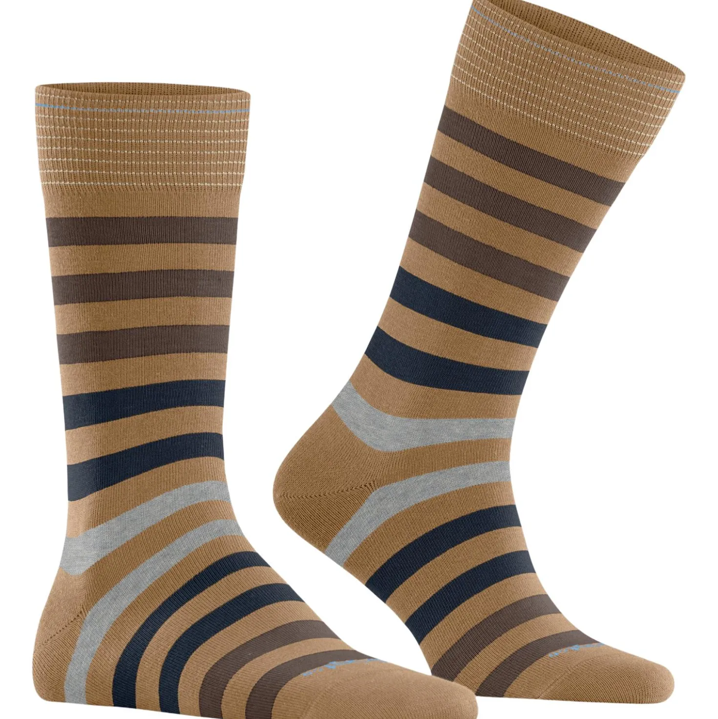 Burlington blackpool herren