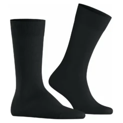 Burlington lord herren