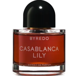 Casablanca Lily