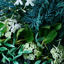Coastal Cypress & Sea Fennel Bath & Shower Gel