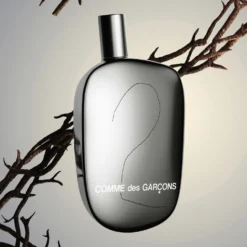 Comme des Garçons 2
