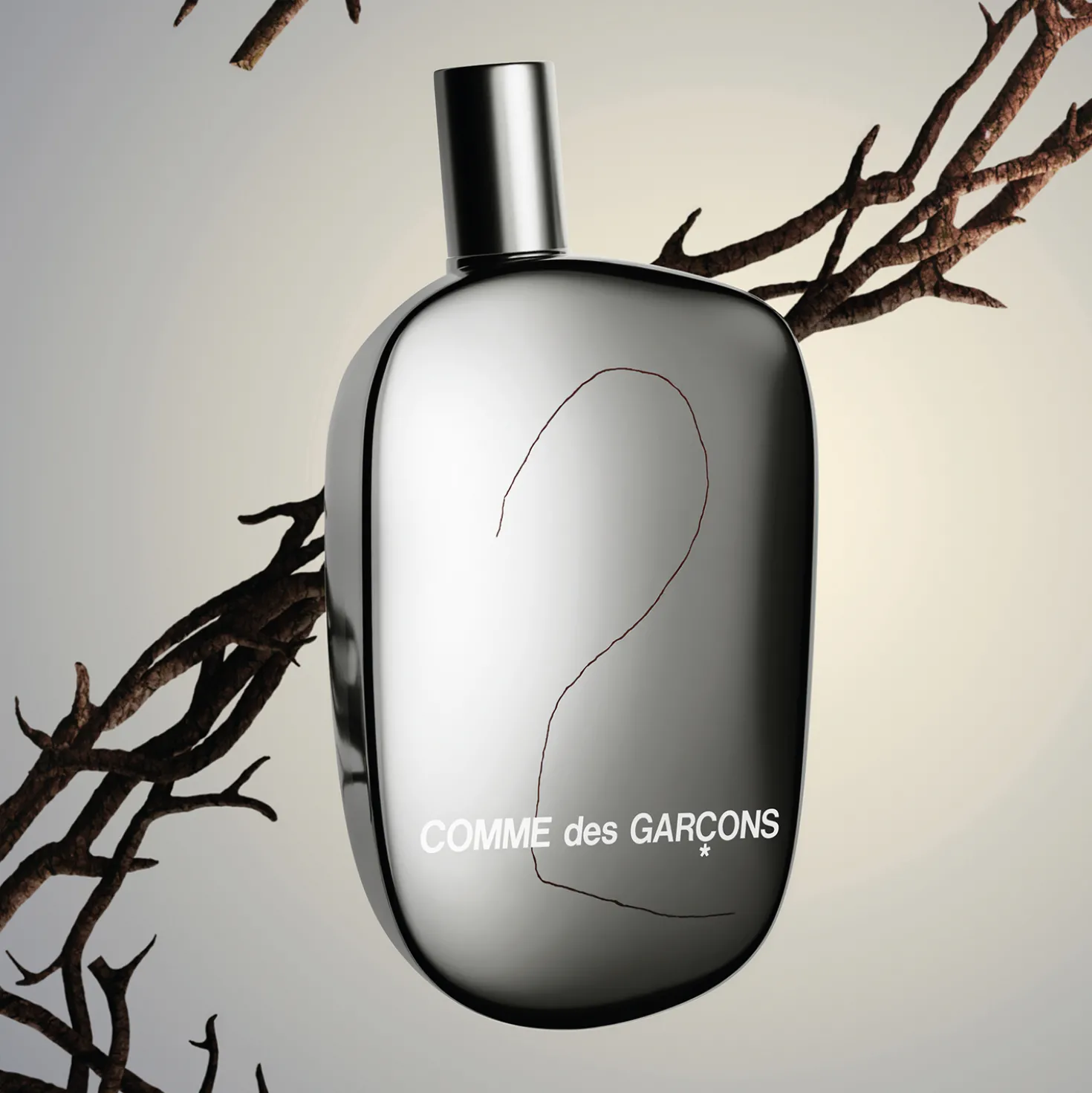 Comme des Garçons 2