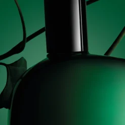 Comme des Garçons Amazingreen