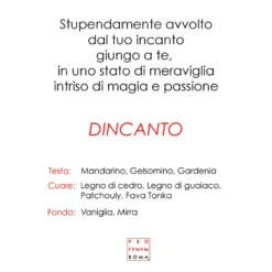 Dincanto