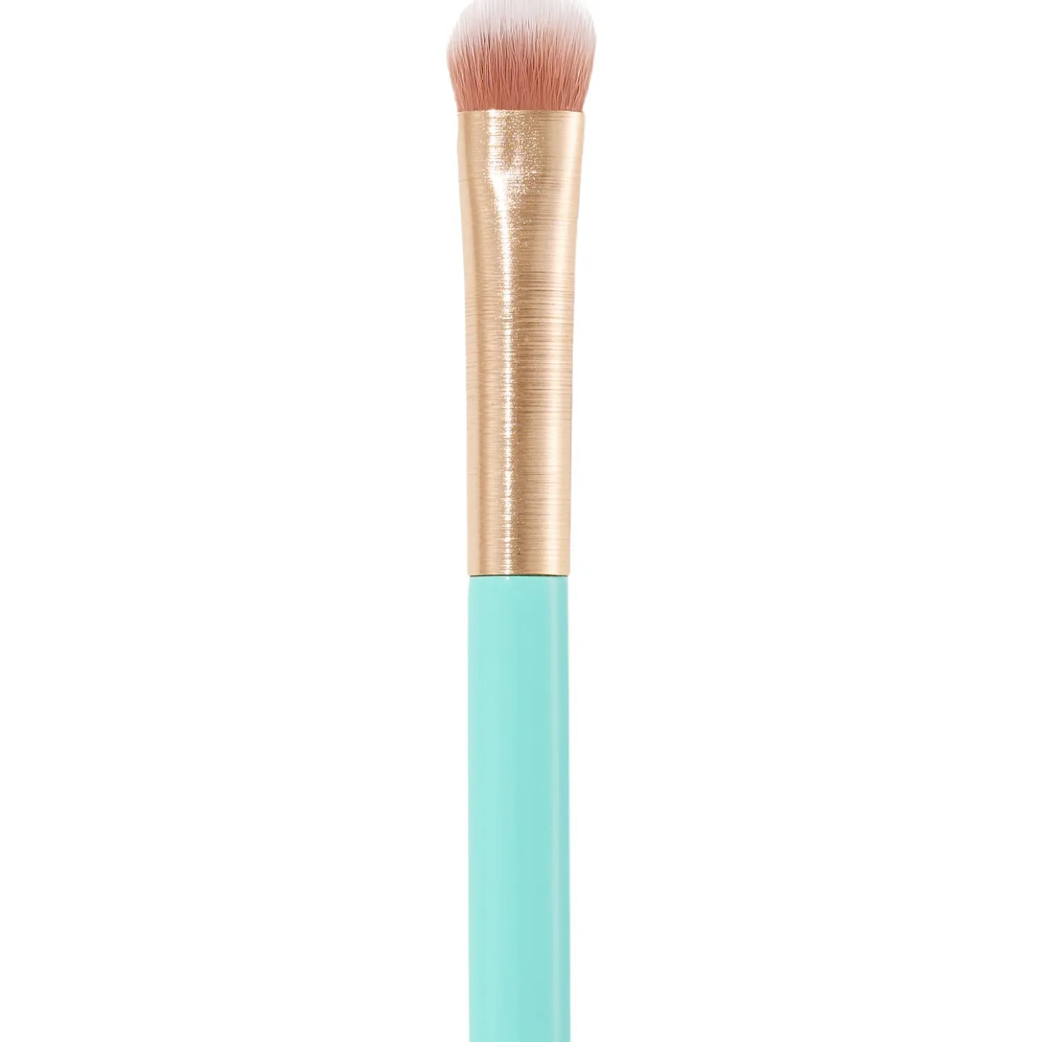 06 Eyeshadow Brush