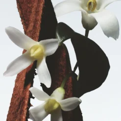 Fleur du Mal Eau de Parfum