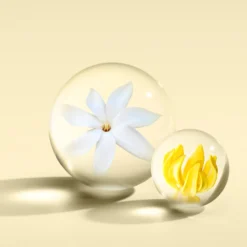 Flora Luminare