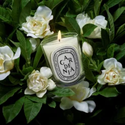 Gardenia Classic candle 190g/6.7oz