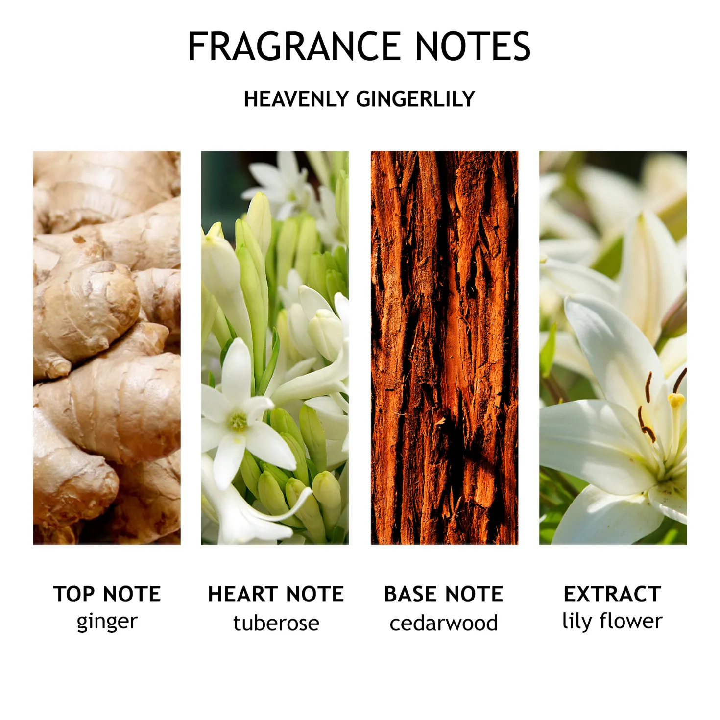 Heavenly Gingerlily Bath & Shower Gel