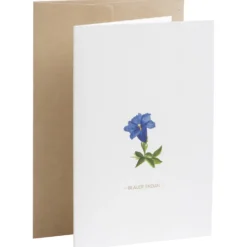 Karte Botanicals - Blauer Enzian