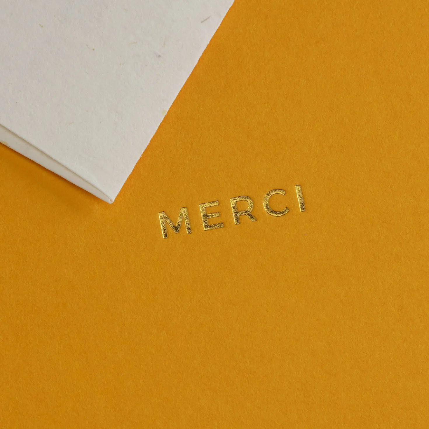Karte Little Color Notes - Merci