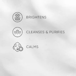 Lavender Foam Cleanser