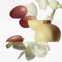 Le Jardin de Monsieur Li Refill