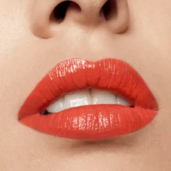 Liquid Lipstick Vinyl Liquid Pride 191