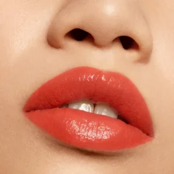 Liquid Lipstick Vinyl Liquid Pride 191