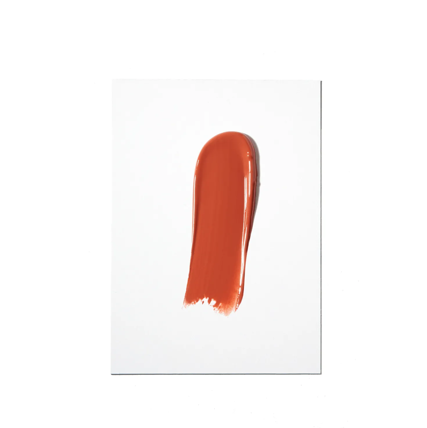 Liquid Lipstick Vinyl Thar Desert
