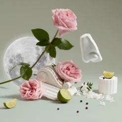 Luna Body & Hand Wash