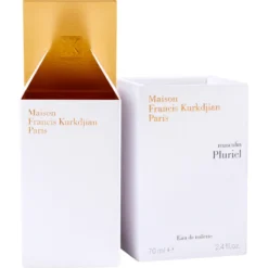 masculin Pluriel
