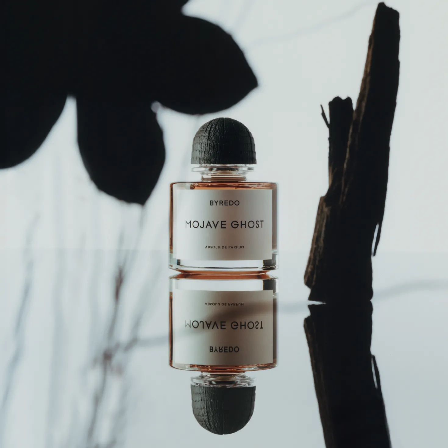 Mojave Ghost Absolu