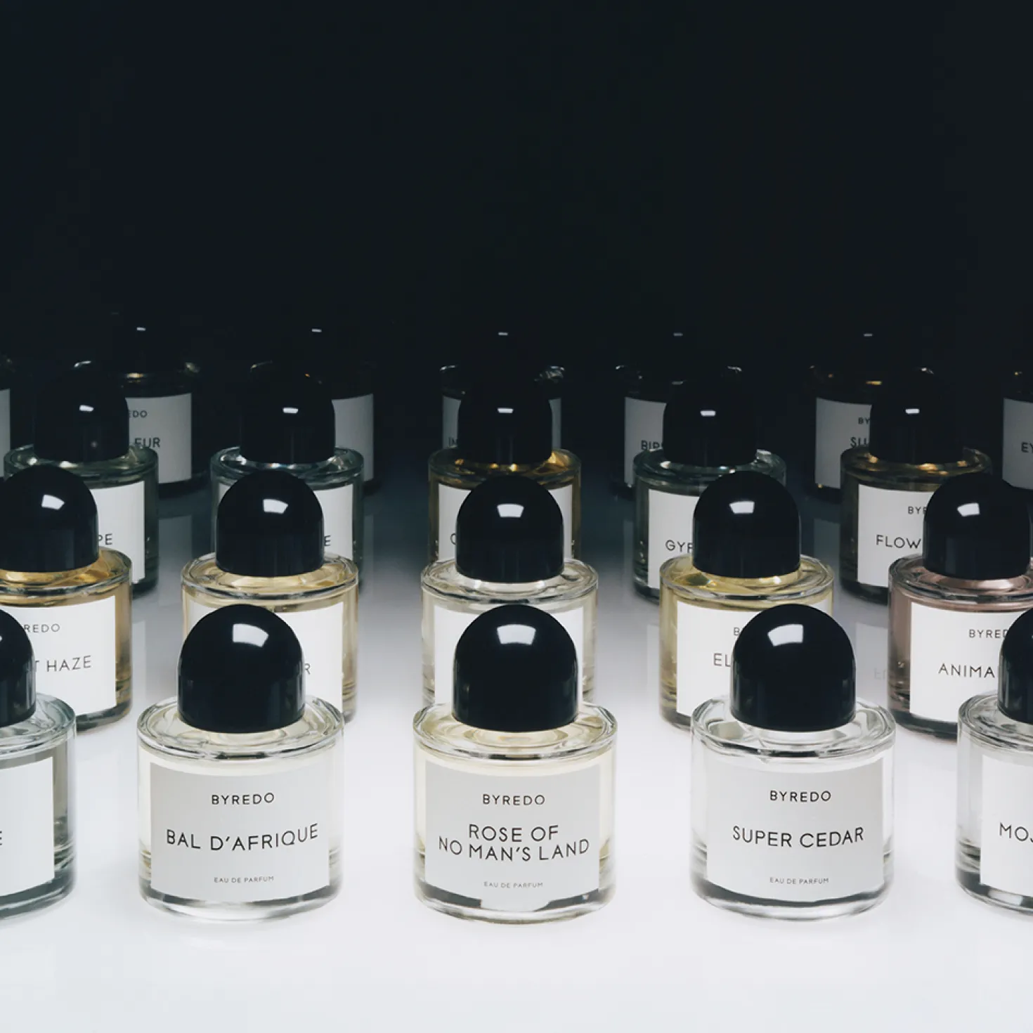 Mojave Ghost Absolu