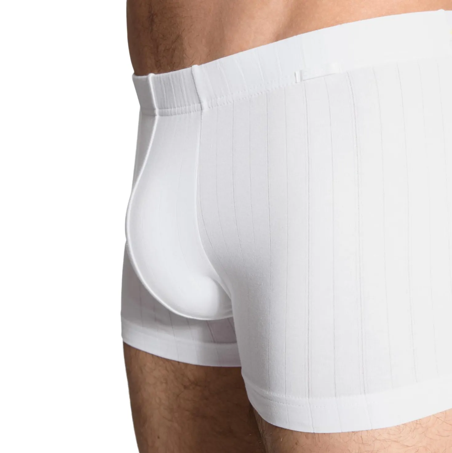 New Boxer mit überzogenem Bund