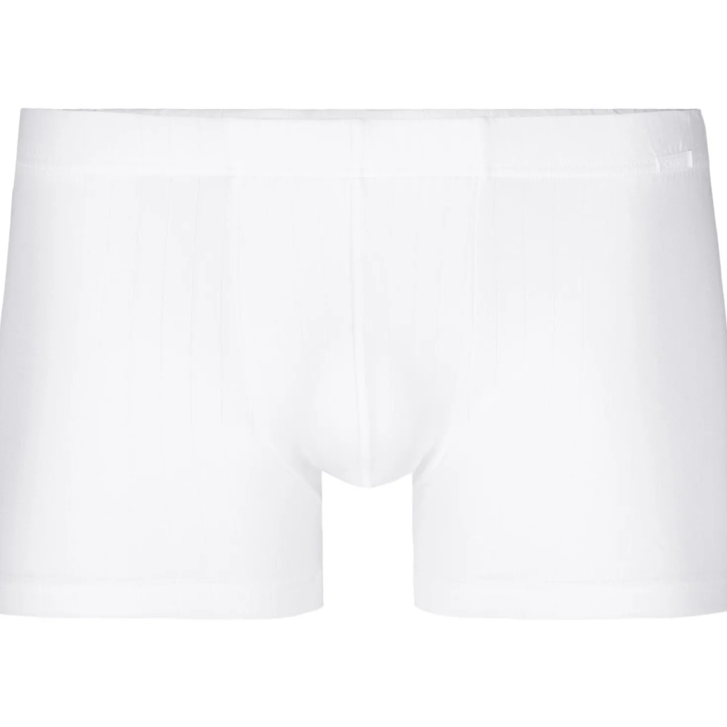New Boxer mit überzogenem Bund