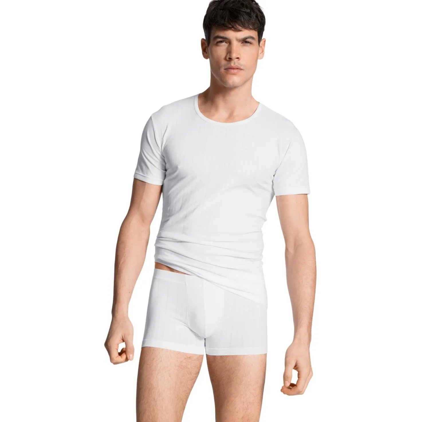 New Boxer mit überzogenem Bund