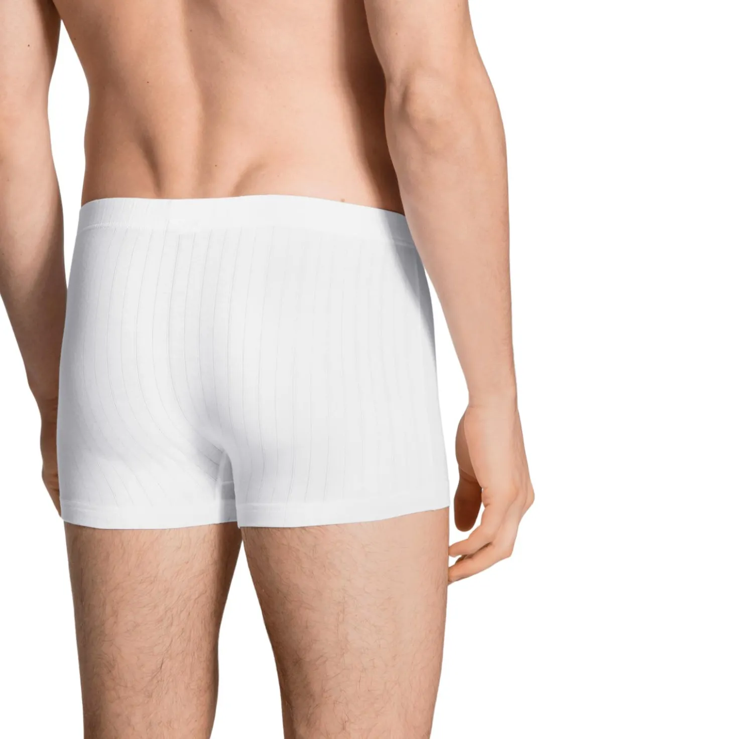 New Boxer mit überzogenem Bund
