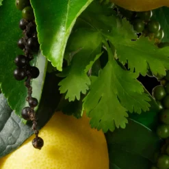 Orange & Bergamot Hand Lotion