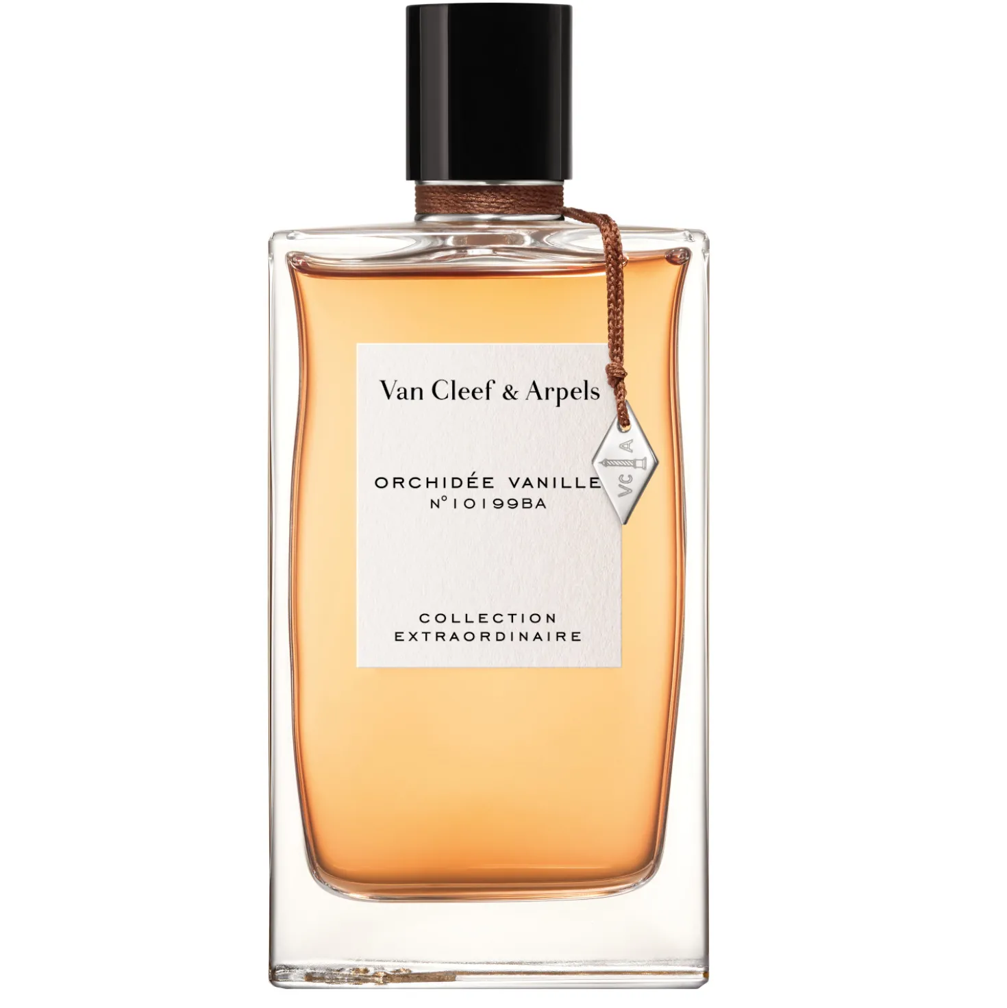 Orchidée Vanille