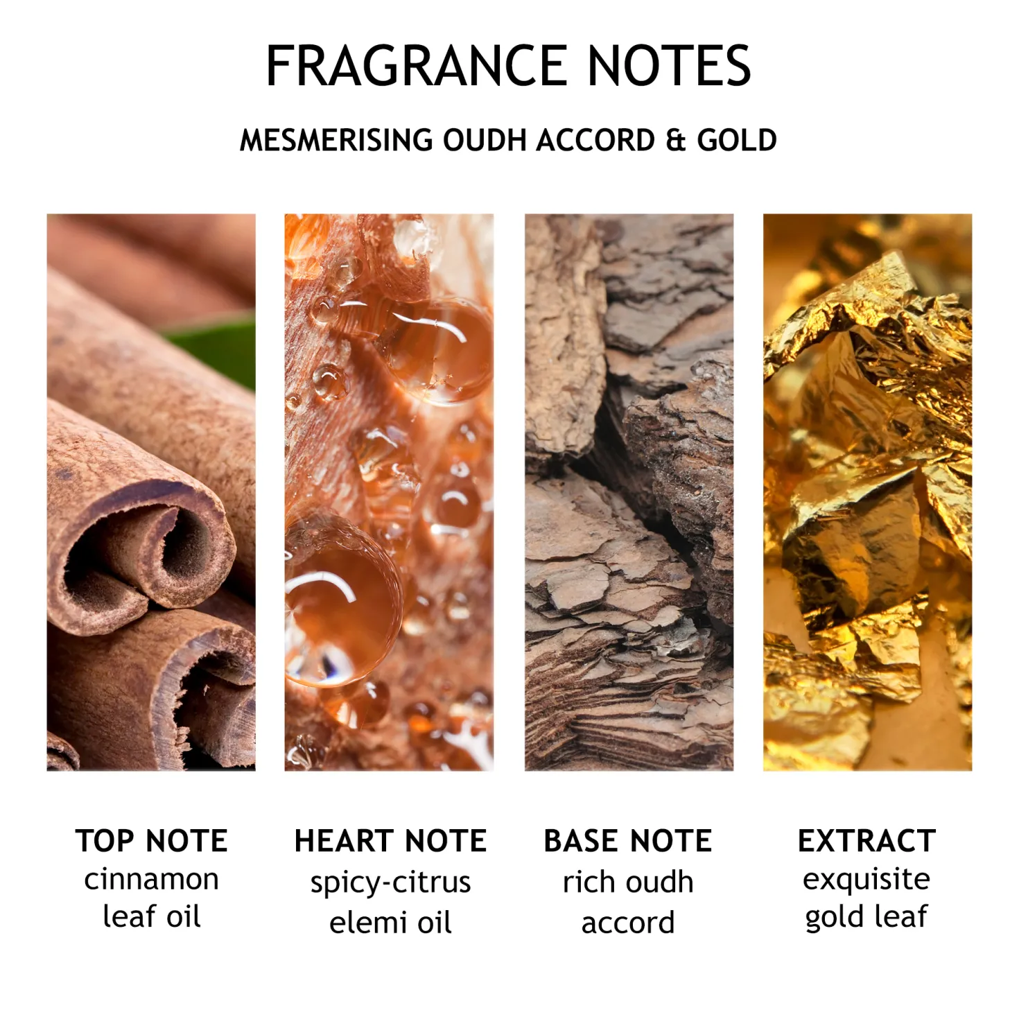 Oudh Accord & Gold Bath & Shower Gel
