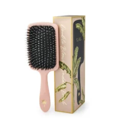 Paddle Bloom