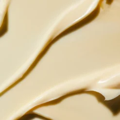Rejuvenating Night Cream