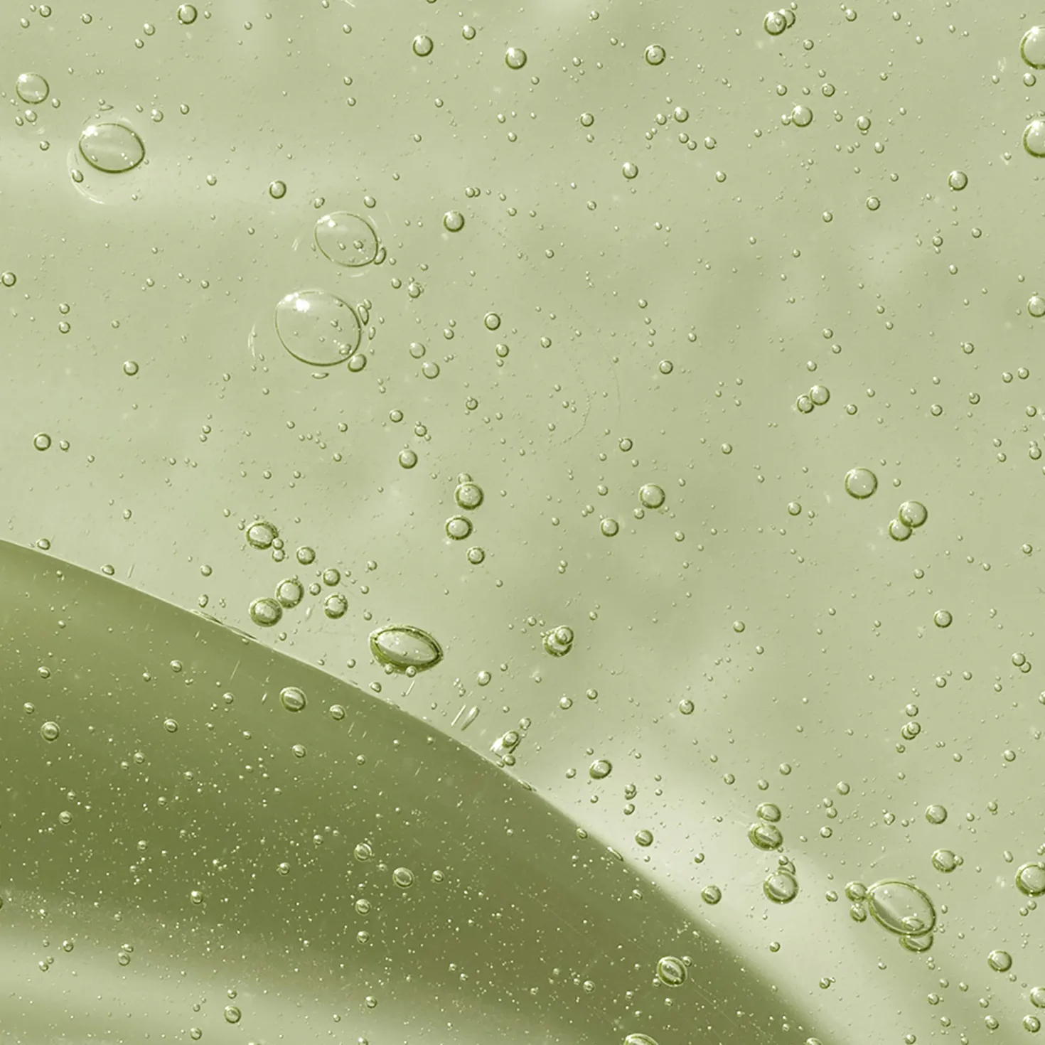 Reviving Rosemary Shampoo