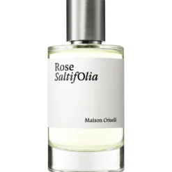Rose Saltifolia