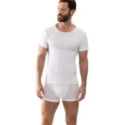 Shirt 1/2 Arm