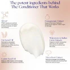 The Conditioner