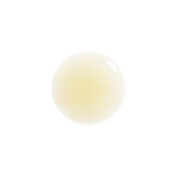 The harmonie Oil