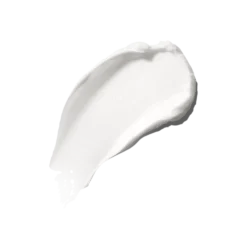The Moisturizing Cream